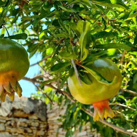 Uptown Indigo Σύμη